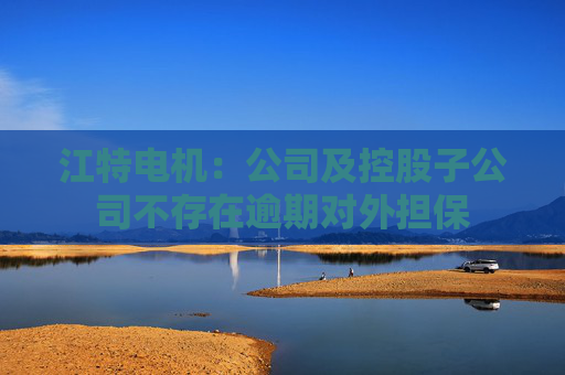 江特电机：公司及控股子公司不存在逾期对外担保