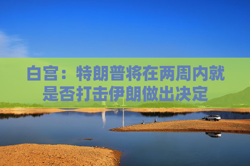 白宫：特朗普将在两周内就是否打击伊朗做出决定