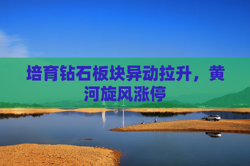培育钻石板块异动拉升，黄河旋风涨停