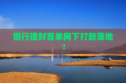 银行理财首单网下打新落地！