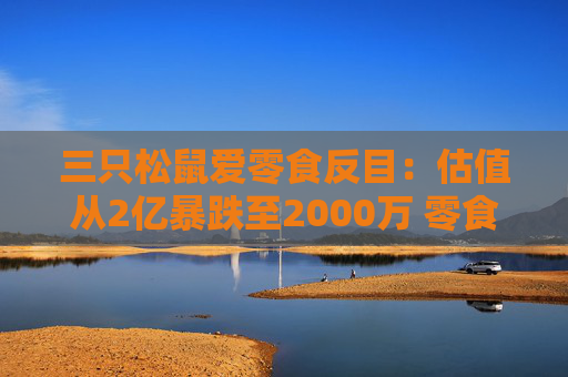 三只松鼠爱零食反目：估值从2亿暴跌至2000万 零食双雄时代下的收购罗生门