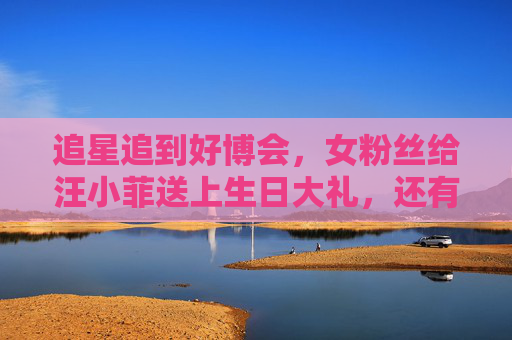 追星追到好博会，女粉丝给汪小菲送上生日大礼，还有粉粉爱心气球