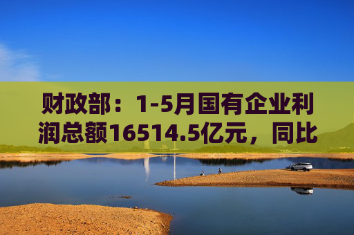 财政部：1-5月国有企业利润总额16514.5亿元，同比下降2.8%