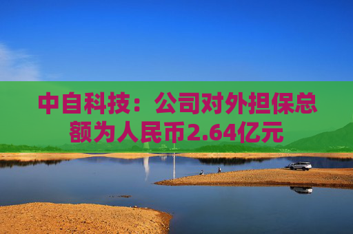 中自科技：公司对外担保总额为人民币2.64亿元