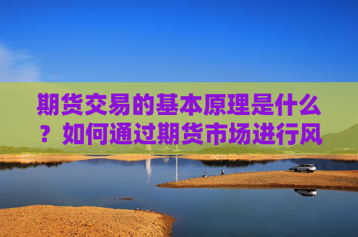 期货交易的基本原理是什么？如何通过期货市场进行风险管理？