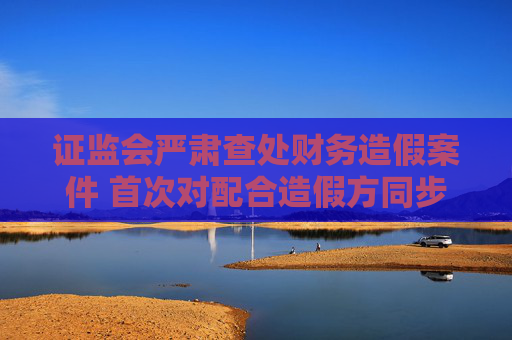 证监会严肃查处财务造假案件 首次对配合造假方同步追责