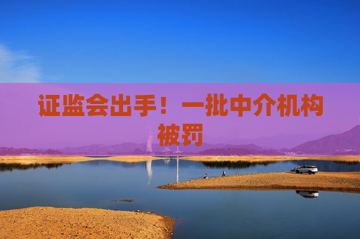 证监会出手！一批中介机构被罚