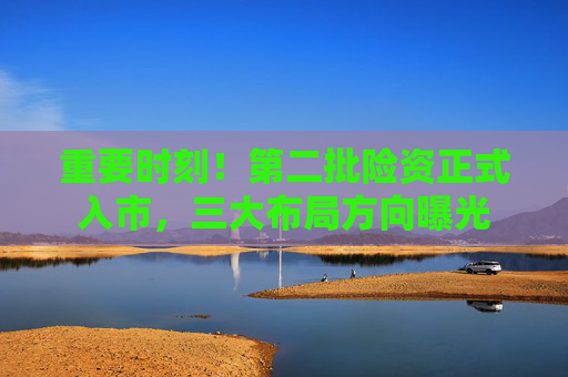 重要时刻！第二批险资正式入市，三大布局方向曝光