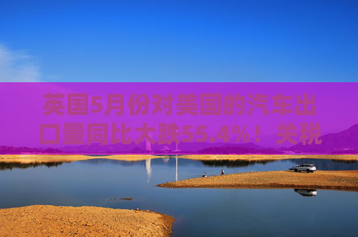 英国5月份对美国的汽车出口量同比大跌55.4%！关税，冲击显现！