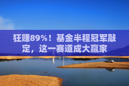 狂赚89%！基金半程冠军敲定，这一赛道成大赢家