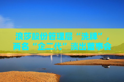 浪莎股份管理层“洗牌”，两名“企二代”淡出董事会