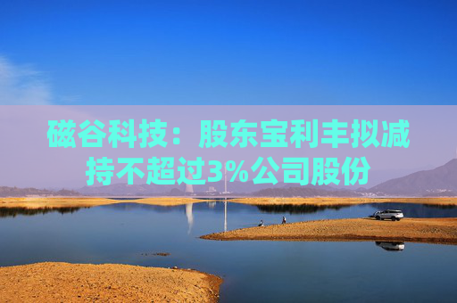 磁谷科技：股东宝利丰拟减持不超过3%公司股份