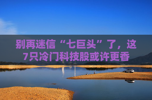 别再迷信“七巨头”了，这7只冷门科技股或许更香