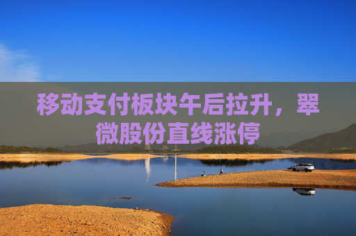 移动支付板块午后拉升，翠微股份直线涨停