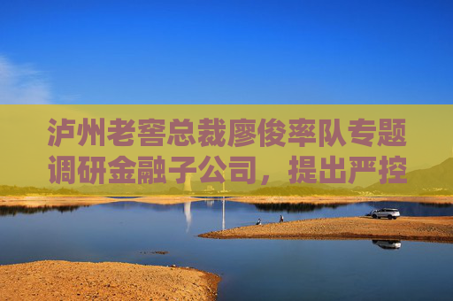 泸州老窖总裁廖俊率队专题调研金融子公司，提出严控流动性风险