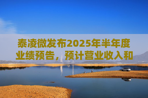 泰凌微发布2025年半年度业绩预告，预计营业收入和净利润将分别同比增长37%和267%