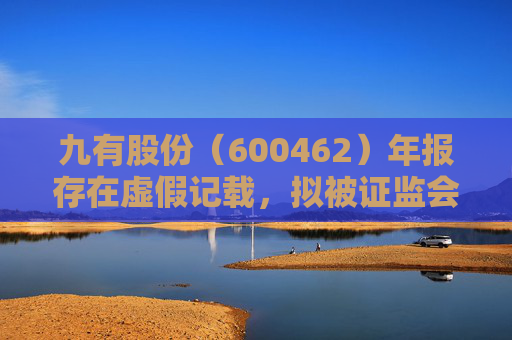 九有股份（600462）年报存在虚假记载，拟被证监会行政处罚