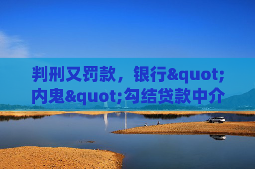 判刑又罚款，银行"内鬼"勾结贷款中介案遭重罚