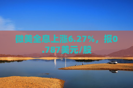 微美全息上涨6.27%，报0.787美元/股