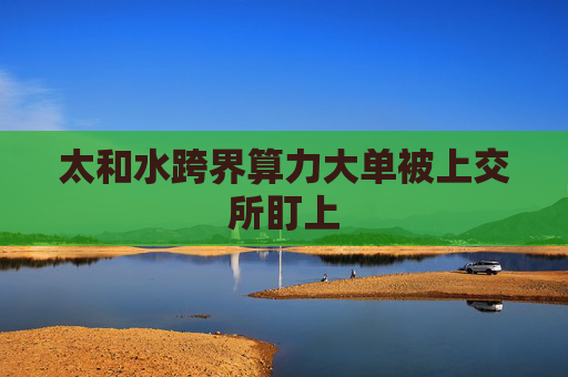 太和水跨界算力大单被上交所盯上