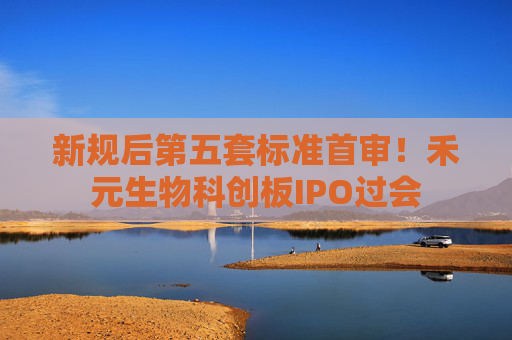新规后第五套标准首审！禾元生物科创板IPO过会