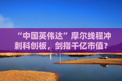 “中国英伟达”摩尔线程冲刺科创板，剑指千亿市值？