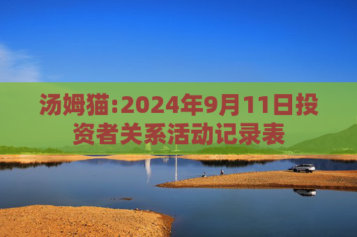 汤姆猫:2024年9月11日投资者关系活动记录表