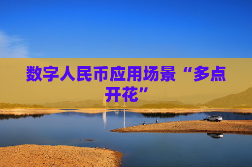 数字人民币应用场景“多点开花”