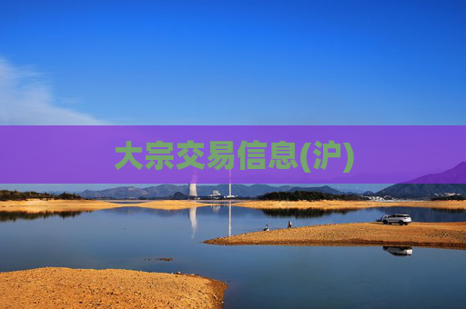 大宗交易信息(沪)