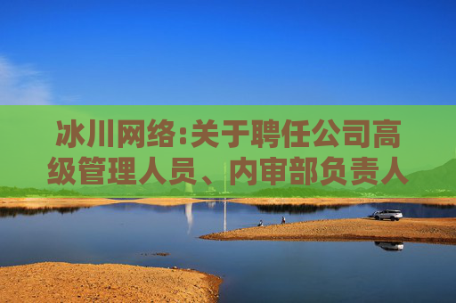 冰川网络:关于聘任公司高级管理人员、内审部负责人、证券事务代表的公告