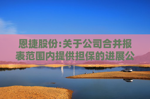 恩捷股份:关于公司合并报表范围内提供担保的进展公告