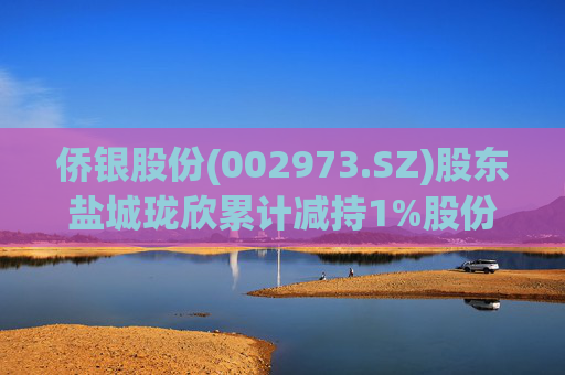 侨银股份(002973.SZ)股东盐城珑欣累计减持1%股份