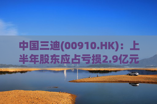 中国三迪(00910.HK)：上半年股东应占亏损2.9亿元
