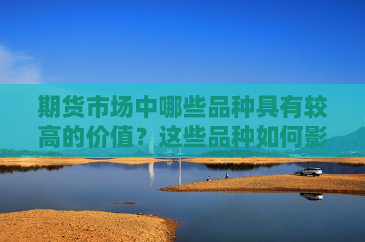 期货市场中哪些品种具有较高的价值？这些品种如何影响市场的供需和价值？