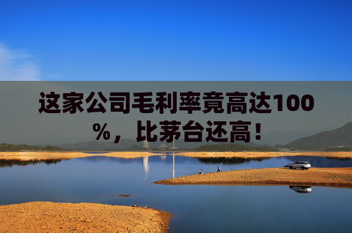 这家公司毛利率竟高达100%，比茅台还高！