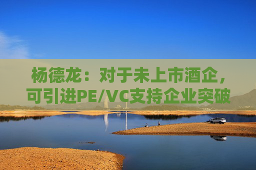 杨德龙：对于未上市酒企，可引进PE/VC支持企业突破难关
