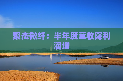 聚杰微纤：半年度营收降利润增