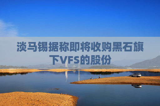 淡马锡据称即将收购黑石旗下VFS的股份