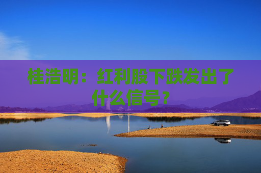 桂浩明：红利股下跌发出了什么信号？