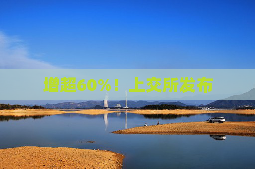 增超60%！上交所发布