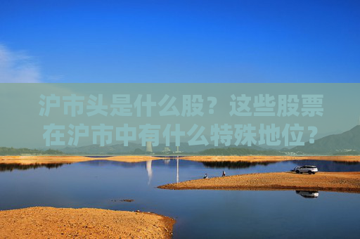 沪市头是什么股？这些股票在沪市中有什么特殊地位？