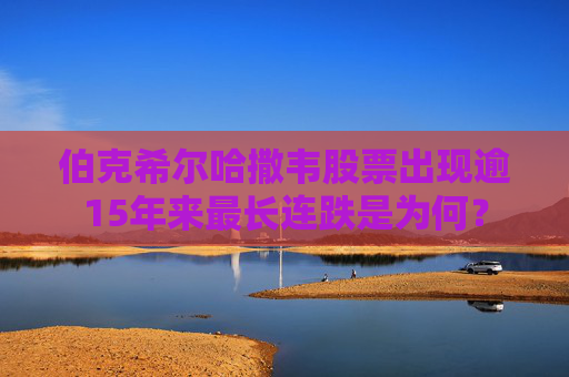 伯克希尔哈撒韦股票出现逾15年来最长连跌是为何？