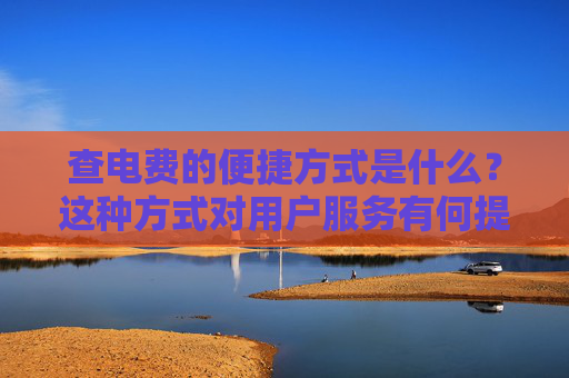 查电费的便捷方式是什么？这种方式对用户服务有何提升？