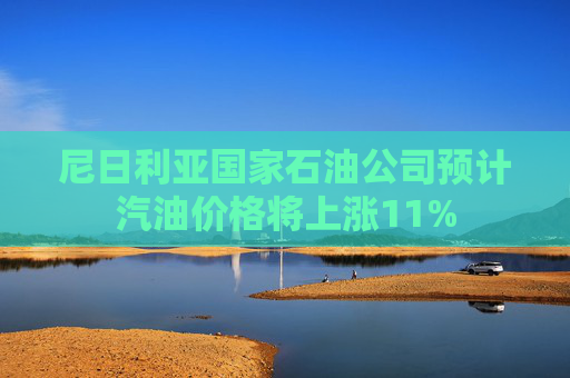尼日利亚国家石油公司预计汽油价格将上涨11%