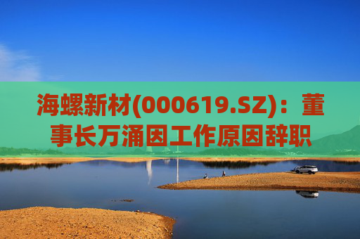 海螺新材(000619.SZ)：董事长万涌因工作原因辞职