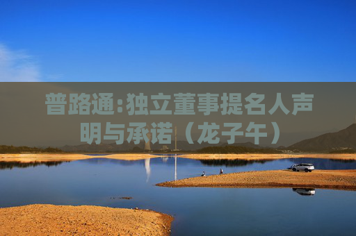 普路通:独立董事提名人声明与承诺（龙子午）