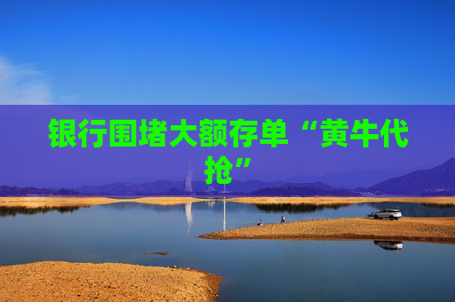银行围堵大额存单“黄牛代抢”