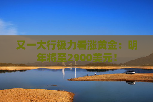 又一大行极力看涨黄金：明年将至2900美元！