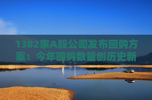 1382家A股公司发布回购方案：今年回购数量创历史新高，是去年同期的3倍