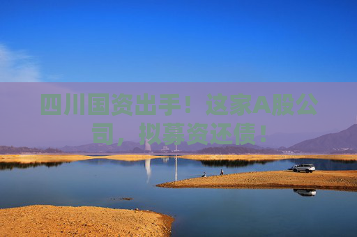四川国资出手！这家A股公司，拟募资还债！